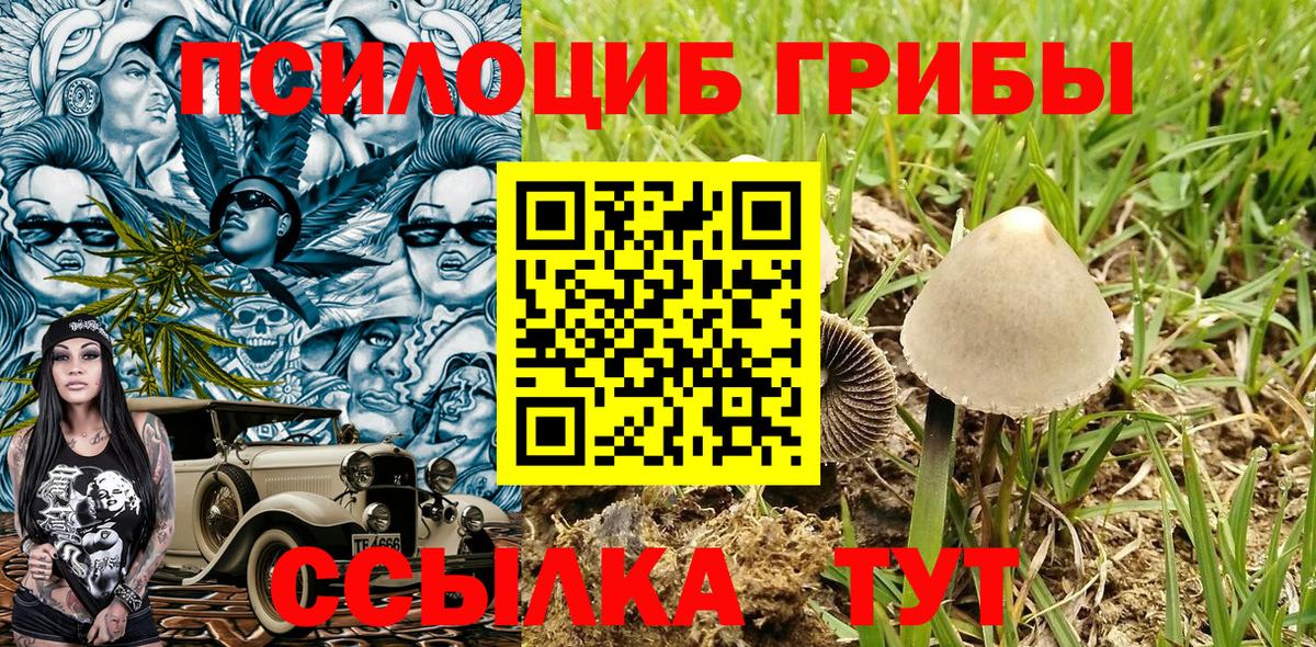 Псилоцибиновые грибы Magic Shrooms Острогожск
